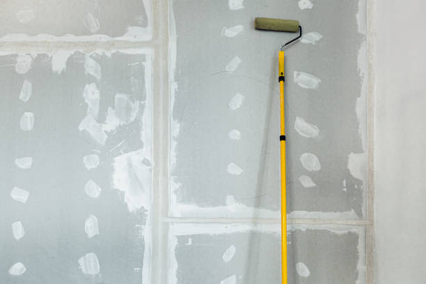 Best Black Mold Removal  in Ke Charles, LA