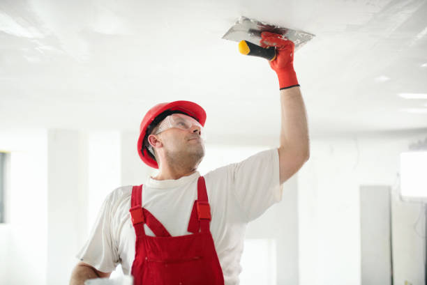Best Residential Mold Inspection & Testing  in Ke Charles, LA