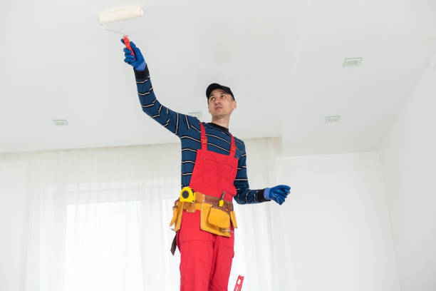 Best Environmental Consulting for Mold Prevention  in Ke Charles, LA