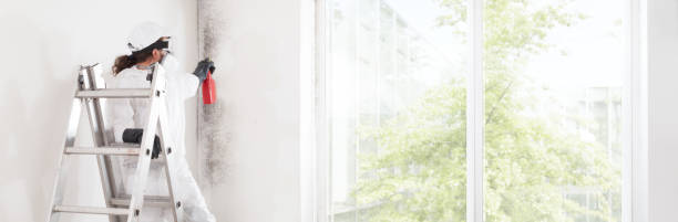 Best Indoor Air Quality Assessment  in Ke Charles, LA